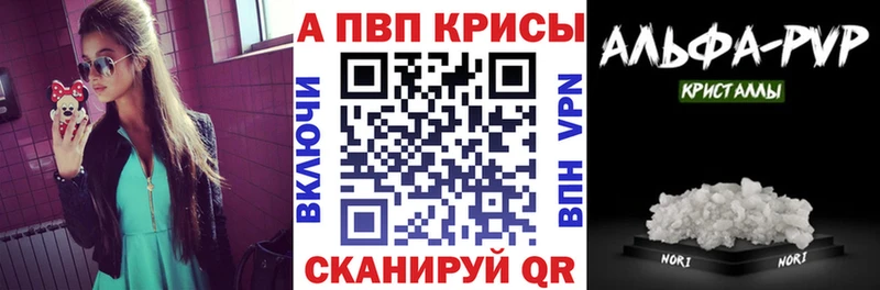 закладки  Карачев  kraken зеркало  А ПВП СК 