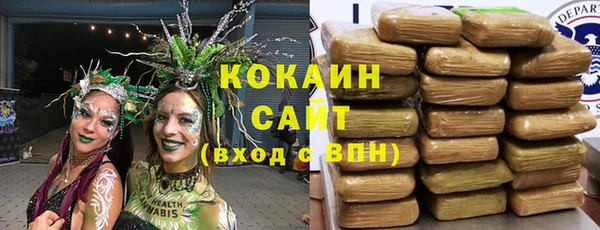 ГАЛЛЮЦИНОГЕННЫЕ ГРИБЫ Алексин