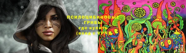 крисы Алексеевка